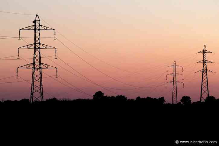 Vague de froid en France: pas de coupure d'électricité, grâce à la "mobilisation" des Français, selon RTE