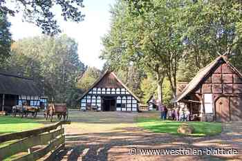 Landtagswahl NRW 2022: Das ist der Wahlkreis 88 Minden-Lübbecke I - Westfalen-Blatt
