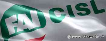 Fai Cisl Cuneo elegge due RSU alle elezioni delle rappresentanze sindacali alla Balocco di Fossano - IdeaWebTv