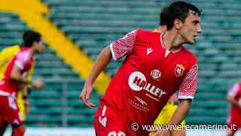 Da Matelica alla Viareggio Cup, il biancorosso Vrioni parteciperà con la Spal - Vivere Camerino