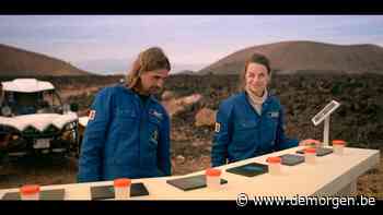 Was knulligheid een kunstvorm, Bert uit 'De mol' zou een Vlaamse Meester zijn - De Morgen