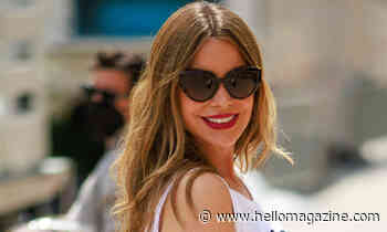 Sofia Vergara's daring bejewelled bustier might be her most impressive look yet - HELLO!