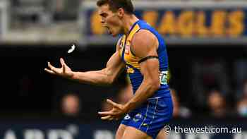 Dampiers’ Zac Langdon returned to the West Coast Eagles side in Derby loss - The West Australian