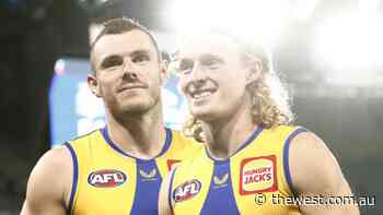 Karl Langdon: Time for AFL recruiters to look to mature-age players like Aaron Black and Angus Dewar - The West Australian