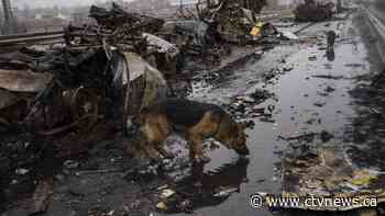 Russia faces global outrage over bodies in Ukraine's streets