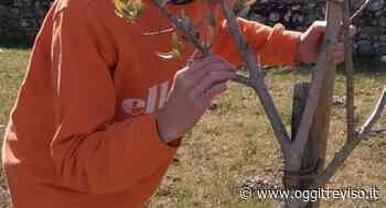 La storia di Marco, un ragazzino che guarda il mondo con il cuore - Oggi Treviso