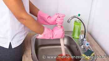 Abfluss in der Küche verstopft: Eier und Kaffee auf keinen Fall hinein schütten