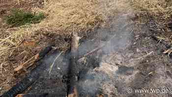 Siegen: Feuer an der Panzerstraße – Einsatzkräfte rücken aus - WP News