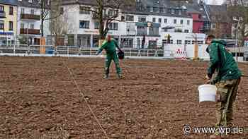 Siegen: Rasen für den Bürgerpark Herrengarten ist eingesät - WP News