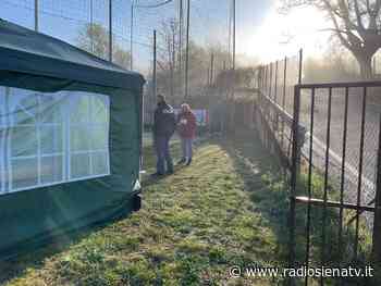 Siena: i vandali assaltano il campo di baseball al parco Ragazzi di Sarajevo - RadioSienaTv