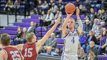 Austin Butler's dunk at 3x3 event creates a buzz - TribLIVE