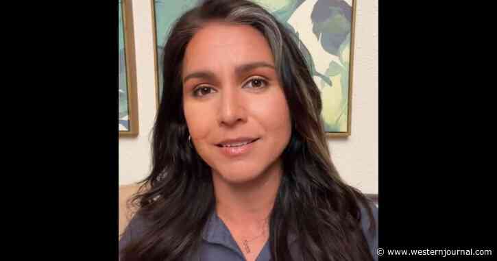 Tulsi Gabbard Defies Dems, Declares Florida Parental Rights Law Doesn't Go Far Enough