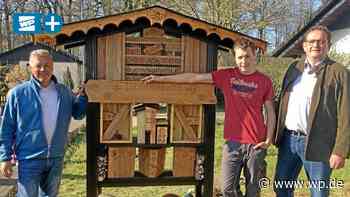 Bösperde: Neue Geburtsstation für Wildbienen in Kleine Heide - WP News