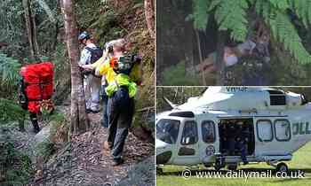 Wentworth Falls landslide: Teen treks 90 minutes for help after family killed in freak landslide