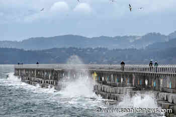 High winds for Sooke, western Vancouver Island, warns Environment Canada – Saanich News - Saanich News