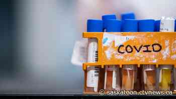 Saskatoon study shines light on divisions in society - CTV News Saskatoon