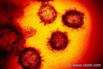 Saskatoon, North Battleford wastewater again show drop in COVID viral levels - CKOM News Talk Sports