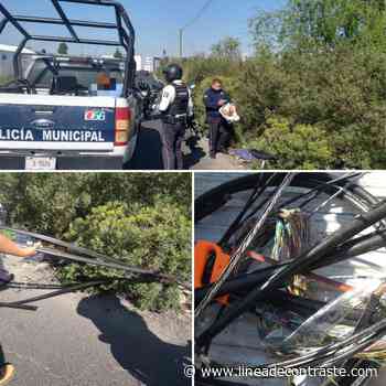 Frustra policía de Apizaco robo de cable telefónico - Linea de Contraste