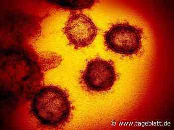 RKI: Inzidenz sinkt – im Kreis Stade und deutschlandweit - Landkreis Stade - Tageblatt-online