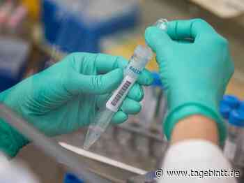 Keine Zahlen übermittelt: Inzidenz im Landkreis Stade sinkt am Montag - Landkreis Stade - Tageblatt-online