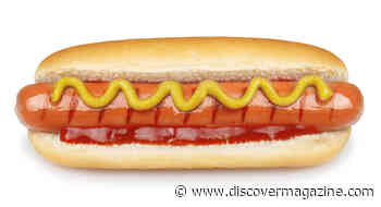 Is a Hotdog a Sandwich? Science Finally Has The Answer