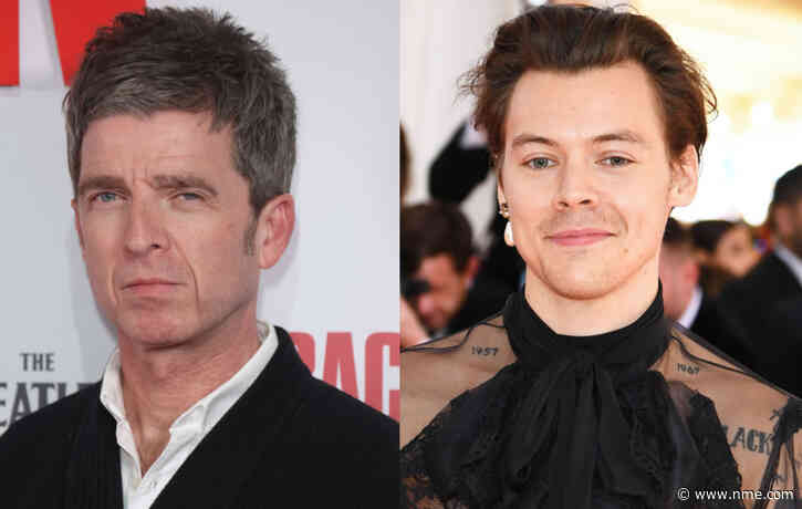 Noel Gallagher criticises Harry Styles for not working as hard as “real” musicians