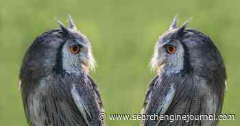 The Truth About Duplicate Content via @sejournal, @tonynwright