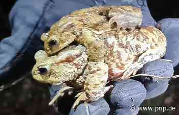 Auf Wanderung per Anhalter - Passauer Neue Presse - PNP.de