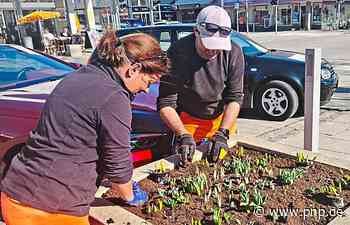 Stadt Traunreut blüht zum Frühling auf - Passauer Neue Presse - PNP.de