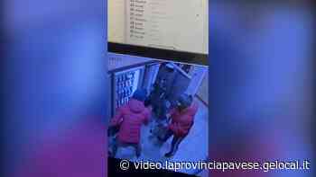 Scassinatori di macchinette a Vigevano: eccoli in azione - video.laprovinciapavese.gelocal.it