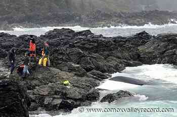 Three men survive capsized boat off Ucluelet's stormy Wild Pacific Trail – Comox Valley Record - Comox Valley Record