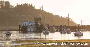 The Comox Valley: Pretty as a Postcard - My Campbell River Now