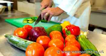 Do I have a good relationship with food? Warning signs and when to seek help - Wales Online