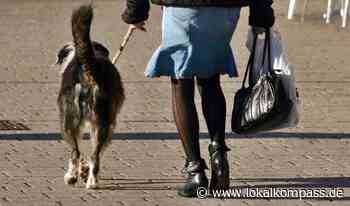 Ukraine-Tierschutz: Hilfe für mitgebrachte Heimtiere von Ukraine-Flüchtende - www.lokalkompass.de