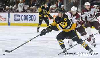 Opinion | It was likely a playoff preview and it went to the Hamilton Bulldogs - Hamilton Spectator
