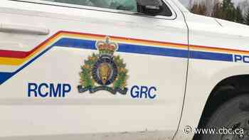 Man dies in snowmobile crash near Happy Valley-Goose Bay - CBC.ca