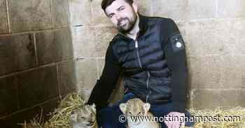 Reece Oliver gives message on future of Strelley enclosure after 2 cubs born - Nottinghamshire Live