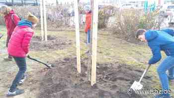 Klimaschutz: Deswegen pflanzen Jugendliche der Stephanskirche Bäume in ganz Schenefeld | shz.de - shz.de