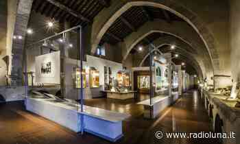 Luoghi della Cultura, ammessi a finanziamento il Museo di Priverno e la biblioteca di Terracina – Luna Notizie – Notizie di Latina - Lunanotizie
