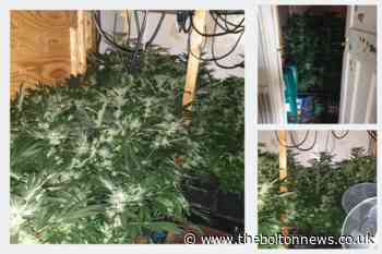 Bolton cannabis farm raided by police in Breightmet - The Bolton News