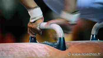 Suresnes se dote d'un nouveau gymnase à 8,4 millions d'euros - Les Échos