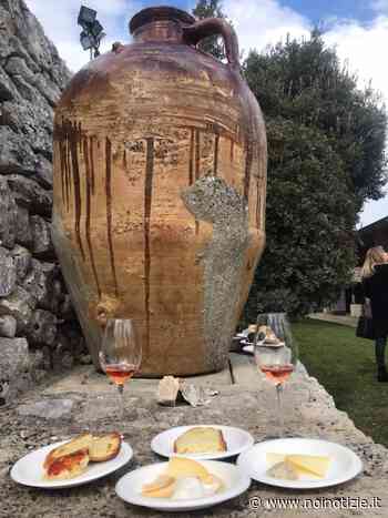 Noci, a Barsento due feste in una per i sommelier - Noi Notizie