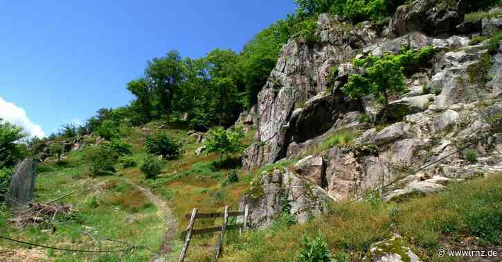 Heidelberg:  Die Erdgeschichte der Stadt erkunden
