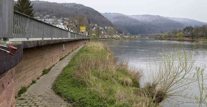 Heidelberg:  Lohnt sich die Ziegelhäuser Neckar-Liegewiese?