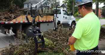 City of Coldwater monthly brush pick up starts on Monday - WTVB