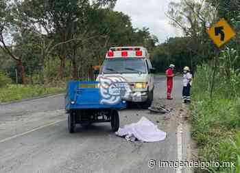 Sexagenario pierde la vida en su trimoto en la carretera Misantla-Martínez - Imagen del Golfo