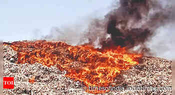 16 cases of forest fire in 24 hours, 10 ha green cover lost - Times of India