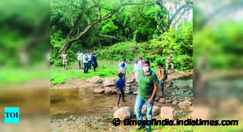 Forest dept gets ready to map elephant mortality hotspots - Times of India