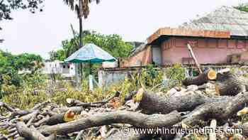 Kerala: CAT stays elevation of forest officer facing probe in tree-felling case - Hindustan Times