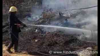 Several trees gutted in forest fire at Taljai hills - Hindustan Times